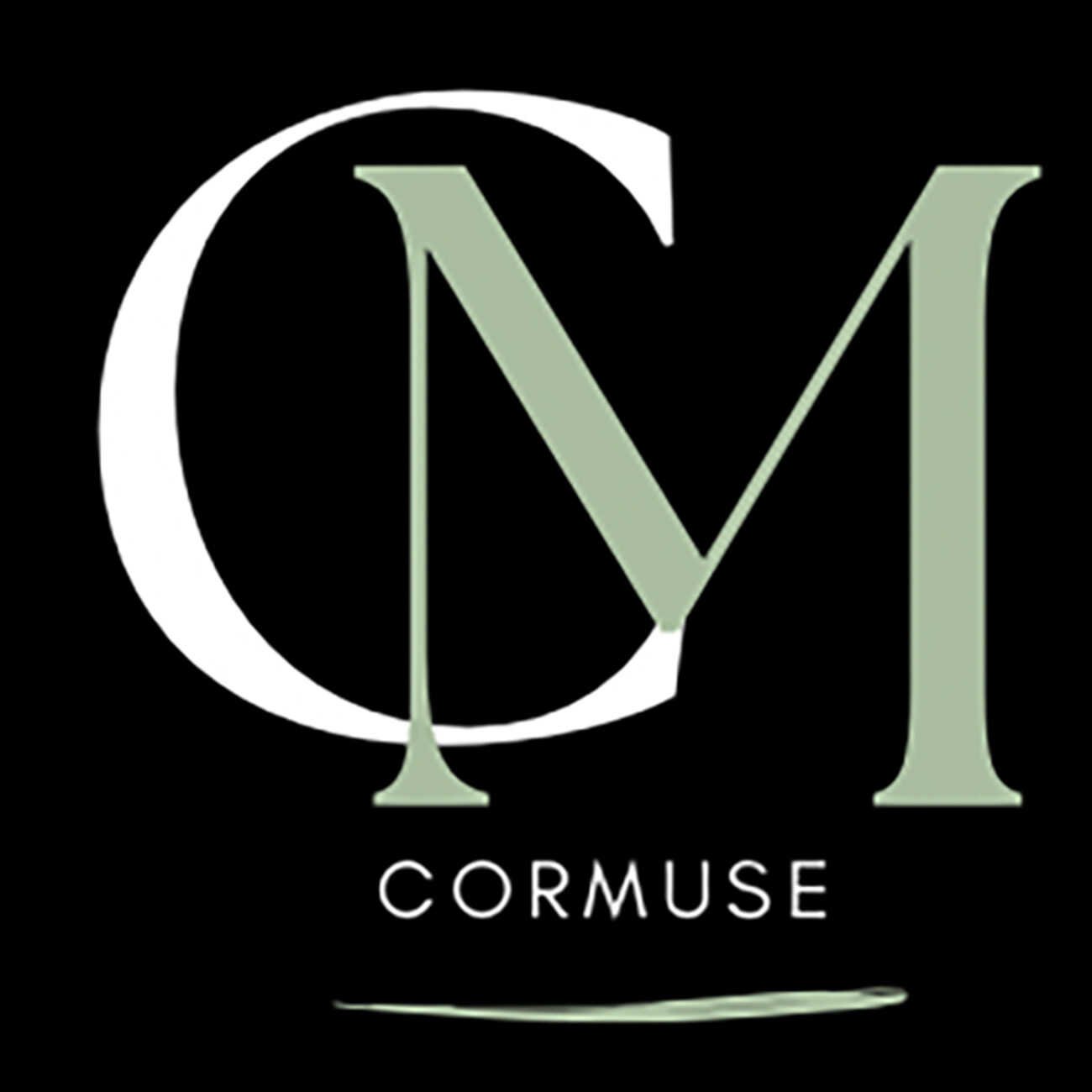 light logo